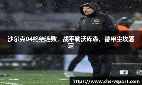 沙尔克04终结连败,战平勒沃库森,德甲尘埃落定